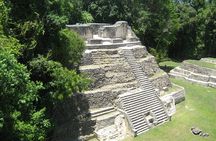 Full-Day Caracol Maya Temple and Pine Ridge Forest Reserve