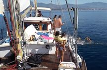 Dolphin Watching Adventure in Estepona Bay