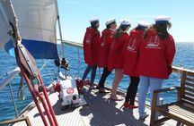 Dolphin Watching Adventure in Estepona Bay