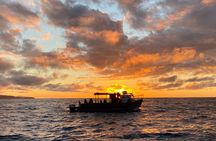 Kachemak Bay Wildlife Tour