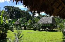 Tambopata National Reserve Tour 4 Days From Cusco