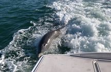 Parasailing Adventure in Anna Maria Island
