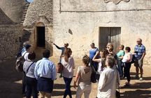 Guided tour through the vineyards with local wine tasting