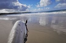 Horse Riding Experience through El Limon Beach