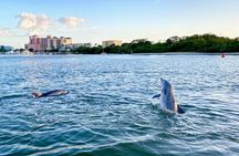 Dolphin Tiki Cruise around Fort Myers Beach