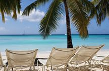 Saona Island Full Day Tour