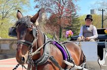 NYC Central Park Horse and Carriage Ride: Long Ride 45 min