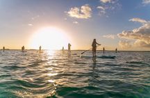 Sunrise by Paddle or Kayak with Floating Picnic
