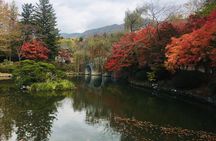 Gyeongju Temple Stay and 2 Days Private Tour Learning Monk's Martial Arts