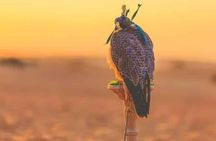 Dubai Hot Air Balloon Sunrise Sightseeing Ride