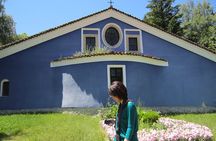 Koprivshtica Day Tour from Sofia