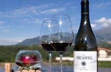 Rila Monastery and Wine Tasting Tour