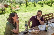 Visit to the Cinta Senese farm in Montepulciano