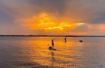 Bioluminescence Clear Kayak or Paddleboard Tour Near Orlando