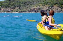 Epic Rainbow Beach Dolphin Kayak and 4WD Adventure Tour