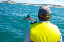 Epic Rainbow Beach Dolphin Kayak and 4WD Adventure Tour