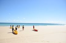 Epic Rainbow Beach Dolphin Kayak and 4WD Adventure Tour