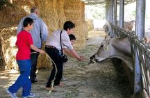 Guided tour from Agrigento: Sicilian traditions with a farm