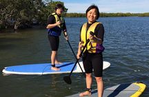 Epic Stand Up Paddle Board Lesson and Coloured Sands 4WD Tour Rainbow Beach