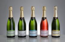 Champagne Guy De Chassey: Traditional Tour & Tasting