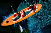 Bioluminescent Clear Bottom Kayak or Paddleboard Sit-On-Top Kayak Hybrid Tour!