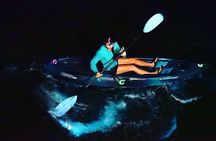 Bioluminescent Clear Bottom Kayak or Paddleboard Sit-On-Top Kayak Hybrid Tour!