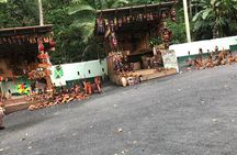 Dunns River Tour