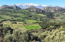 Semi- Private Olive Grove and Dragon Fruit Farm with Tastings