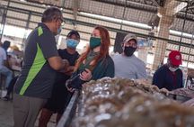 Life and gastronomy of Guayaquil