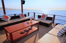Group Getaway: Private Cabo Catamaran with Water Toys for 20ppl