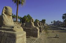 Full day Luxor tour from Cairo by a sleeper train