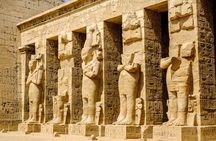 Private Half Day Tour in Valley of the Queen and Habu Temple