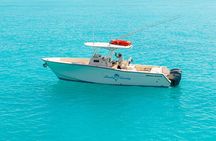Private Bottom Fishing Charter 1/2 day morning on "Shady Grady"