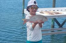 Private Bottom Fishing Charter 1/2 day morning on "Shady Grady"