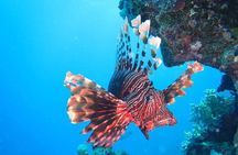 Hurghada Snorkeling Trip to Orange Bay Island