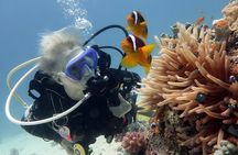 Hurghada Snorkeling Trip to Orange Bay Island