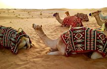 Desert safari in Bedouin Village & Quad Biking Safari, Hurghada