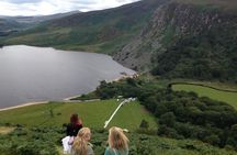 Full Day Private Wicklow Tour