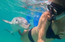 Group Reef, Beach and Sandbar Tour from Providenciales