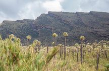 Chingaza Siecha & Cuchillas Lakes Trek