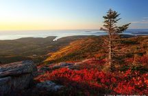 Explore all the top spots of Acadia!