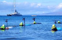 Electric Foilboard rides/lessons/sessions at Sugar Beach, Maui