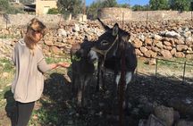 Naxos Villages Food Tour 