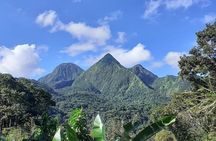 Half-Day Nature and Panorama Tour in Martinique