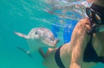 Private Reef, Beach and Sandbar Tour from Providenciales