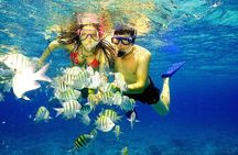 Punta Cana Speed Boat Tour and Snorkeling
