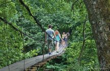 Private Hiking Tour to Mtirala National Park from Batumi
