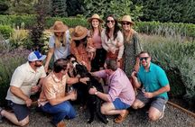 Willamette Valley Wine Tour - For Private Groups 