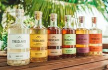 Local Puerto Rican Rum Distillery Tour - Ron Pepon