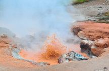 Yellowstone & Grand Teton National Parks: Small Group 3-Day Tour
